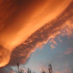DSCN0732
