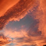 DSCN0736