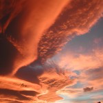 DSCN0737