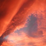 DSCN0741