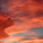 DSCN0743